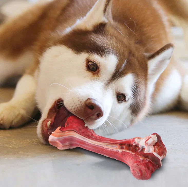 Dog Chewing Resistant Molar Stick Simulation Bone