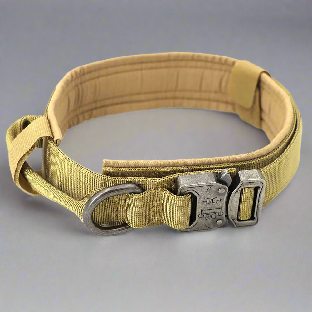 Dog Collar