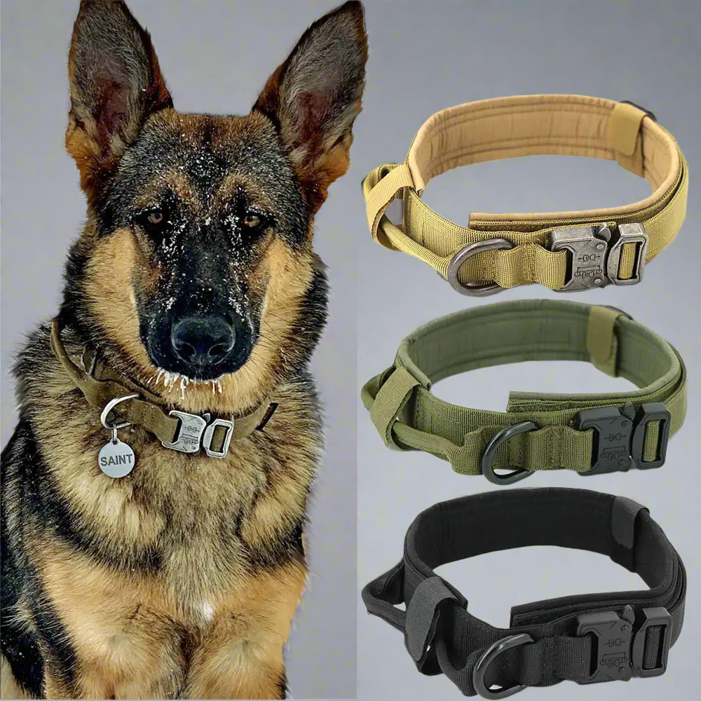 Dog Collar