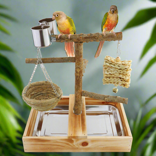 Mogoko Natural Bird Playground Bird Perches Bird Cage Accessories Bird Toys Playground Bird Perch Stand Parrot Stand Includes 2 Stainless Steel Cups and Removable Tray