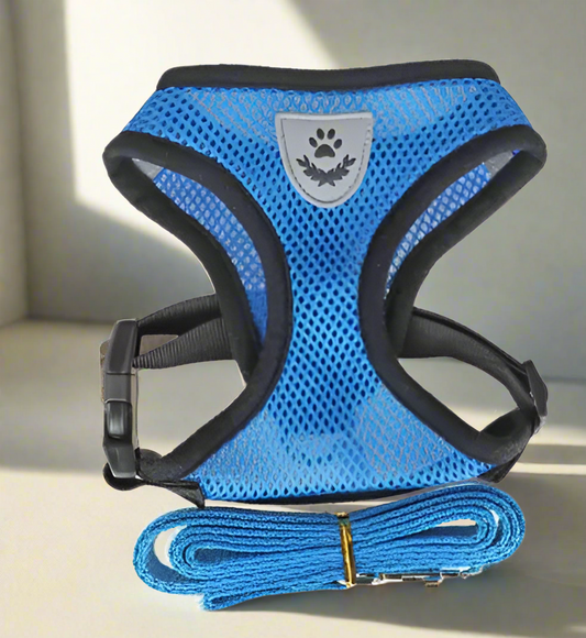 Dog Harness