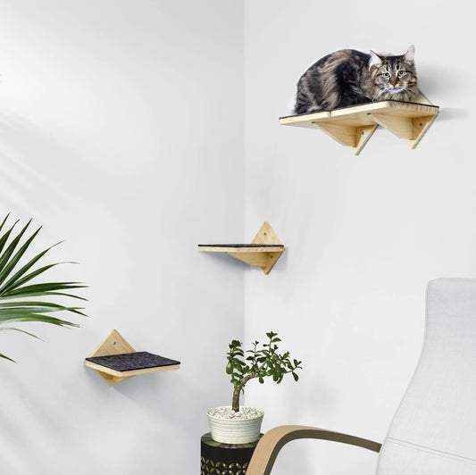 Safe & Sturdy Cat Wall Shelves with Strong Wall Anchors | Cat Shelves for Wall Set of 4 | Large & Versatile Cat Shelf for Wall & Cat Wall Steps to Make a Customized Cat Climbing Wall!