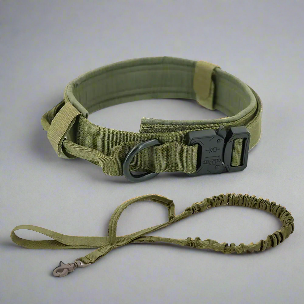 Dog Collar