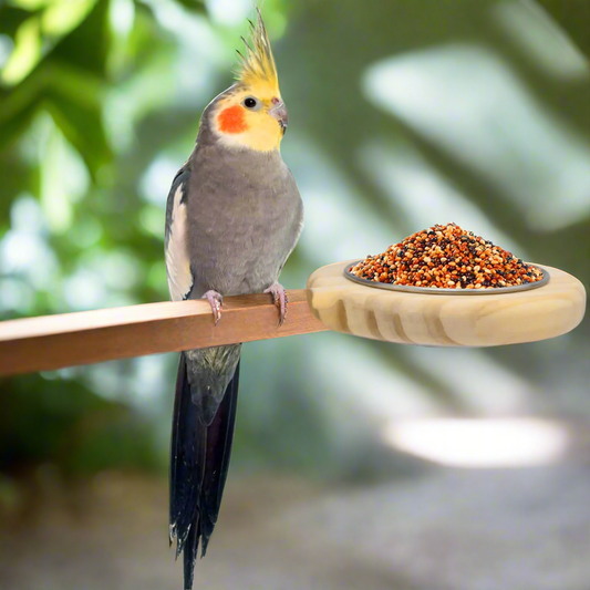 KATUMO Bird Perch Bird Feeding Cup Parrot Wood Perch Stand Toy Bird Cage Accessory for Parakeet Lovebird Conure Budgie Canary Finch Small Parrots
