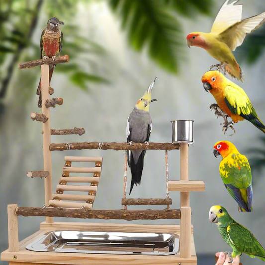 GOVNPJ Bird Playground Bird Stand with Feeder Cups Bird Play Stand Wood Parrot Playground Bird Perch Stand for Cockatiel Parakeet