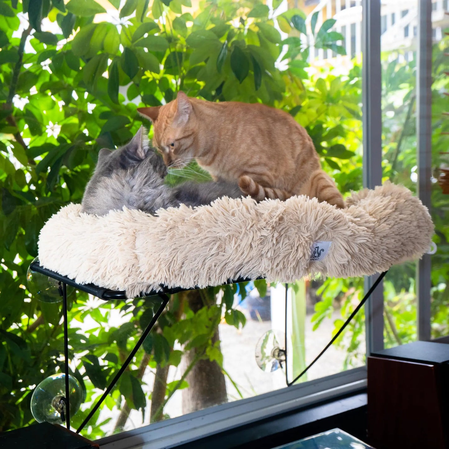 HIPCAT Cat Window Perch with Free Cat Toy - Cat Bed - Comfy Cat Hammock - Cat Shelf - Extra Strong Suction with Cordless Sturdy Metal Frame - Holds Medium & Large Cats - (Beige)