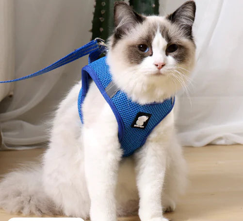 Gentle Paws™ Anti-Strike Harness and Leash Set