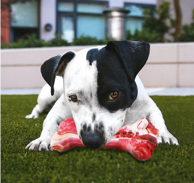 Dog Chewing Resistant Molar Stick Simulation Bone