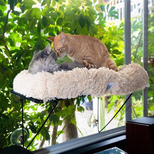 HIPCAT Cat Window Perch with Free Cat Toy - Cat Bed - Comfy Cat Hammock - Cat Shelf - Extra Strong Suction with Cordless Sturdy Metal Frame - Holds Medium & Large Cats - (Beige)